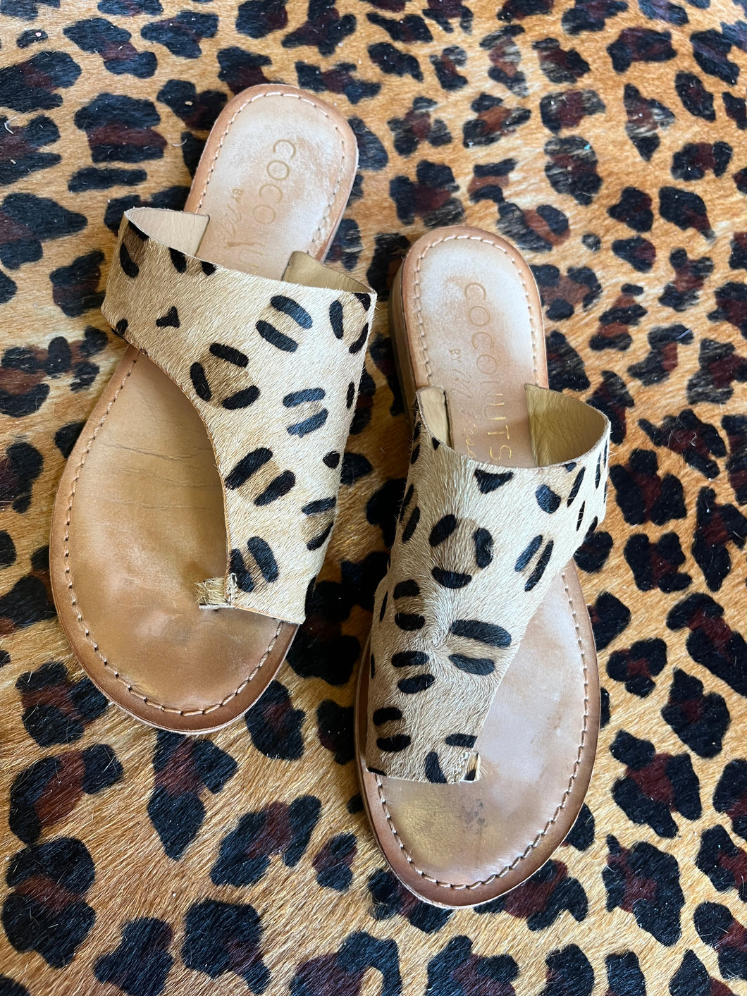 cheetah coconuts Shoes, 6