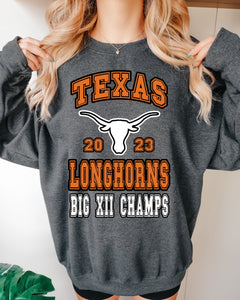 Longhorns Big 12 Champions