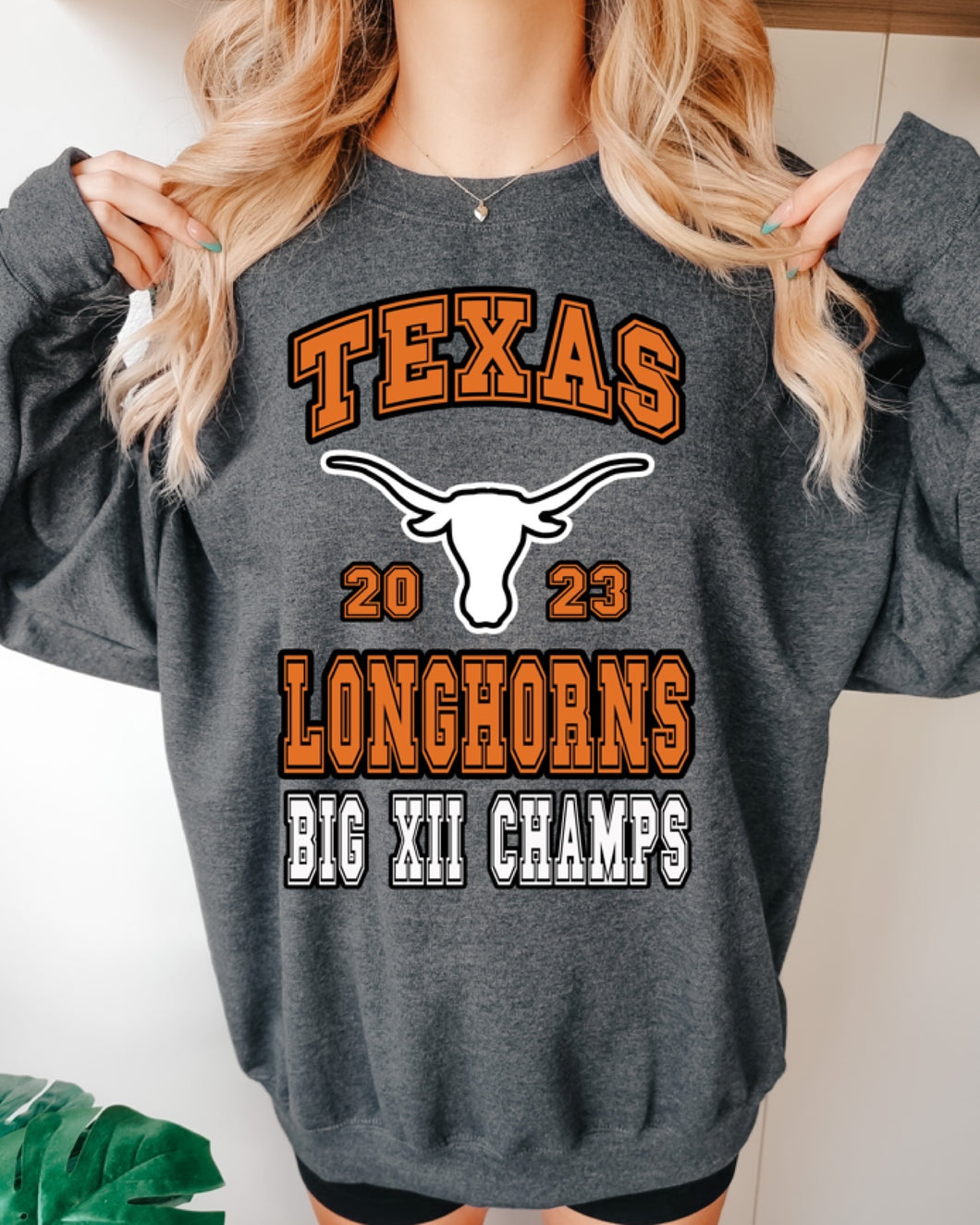 Longhorns Big 12 Champions