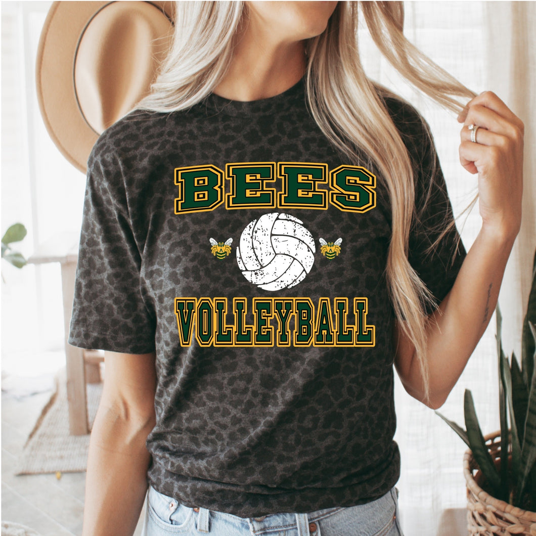 Academy Bees Vintage Volleyball design