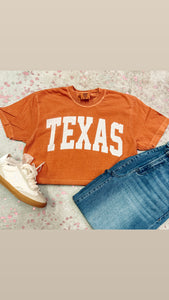 Longhorns Arch tee crop