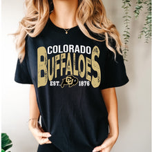 Load image into Gallery viewer, Buffaloes Vintage Design
