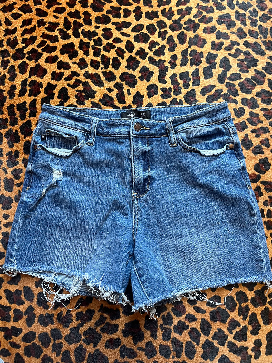 Denim Judy Blue Shorts, Large