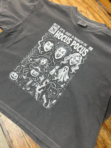 Gray Sanderson Sisters tee crop