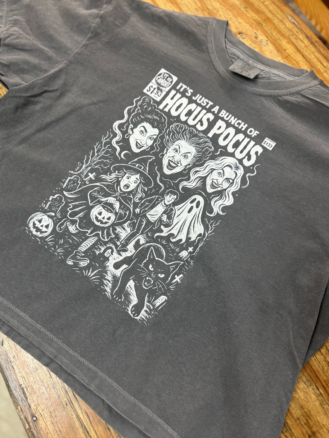 Gray Sanderson Sisters tee crop