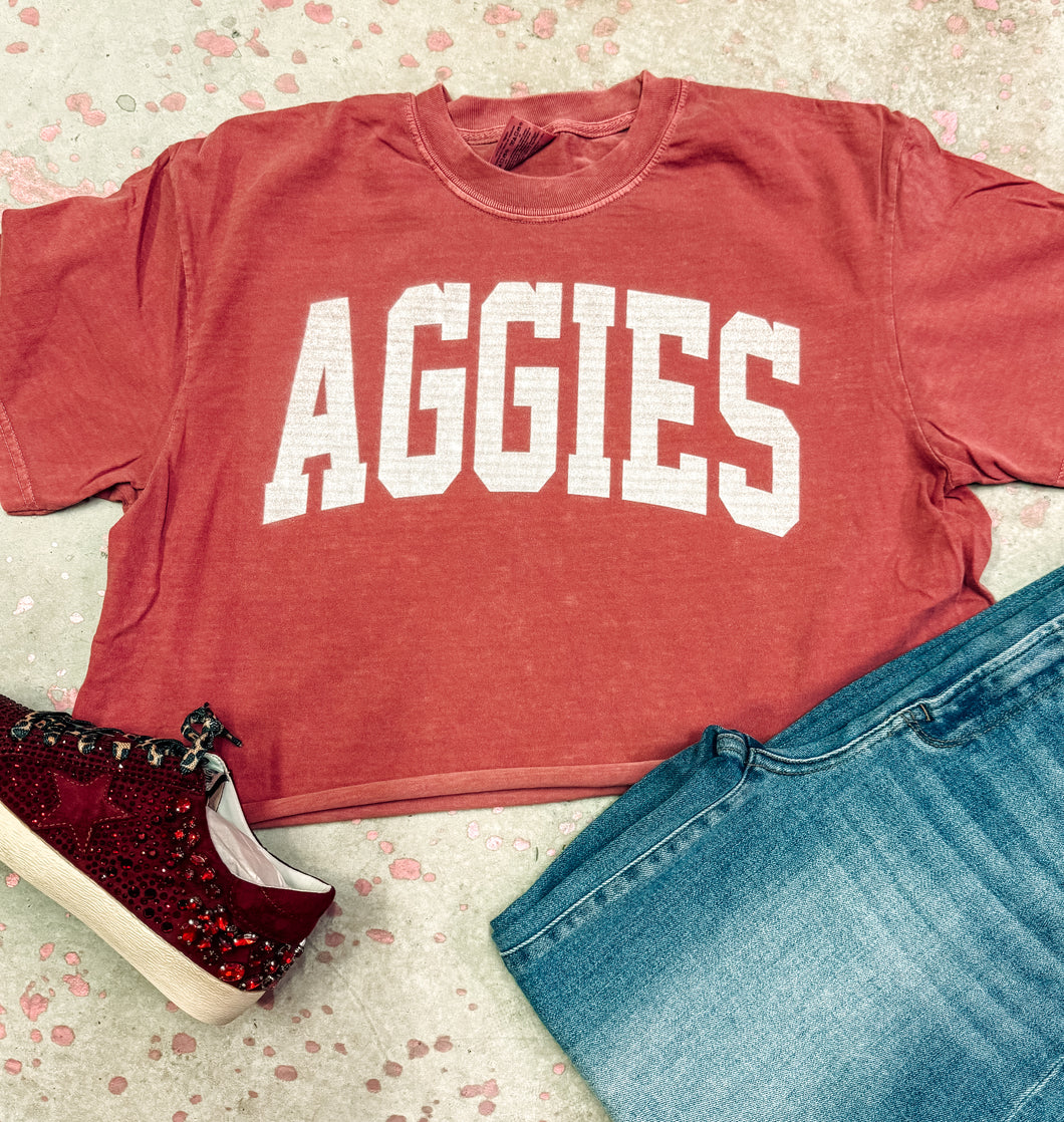 Aggies Arch tee crop