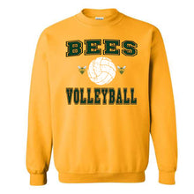 Load image into Gallery viewer, Academy Bees Vintage Volleyball design
