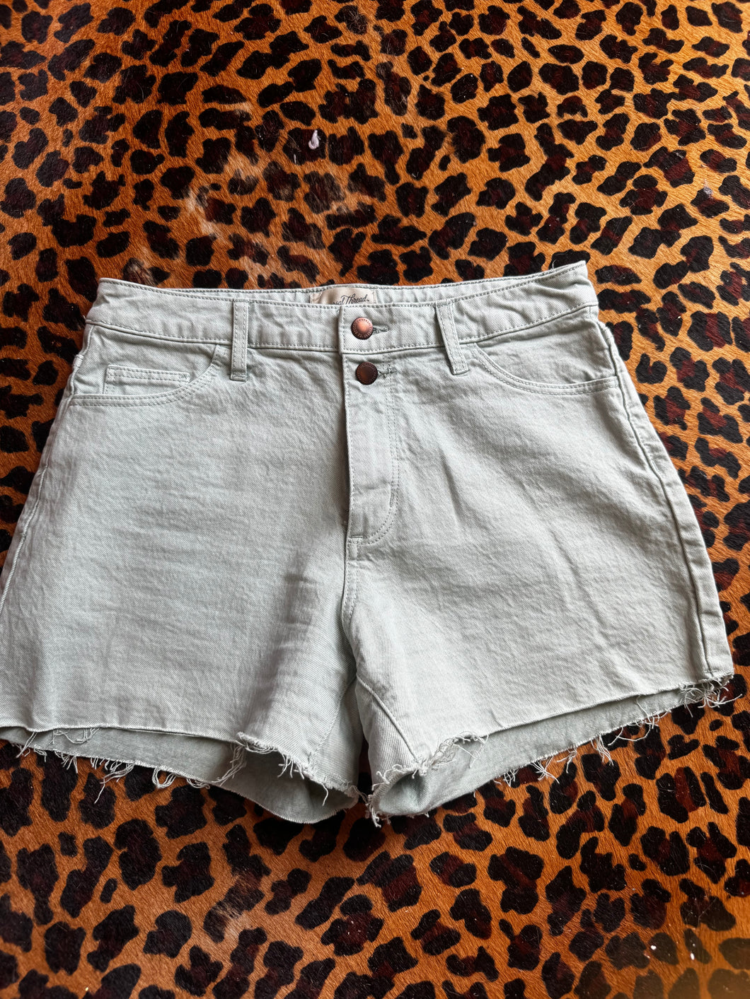 green Universal Thread Shorts, 4/24