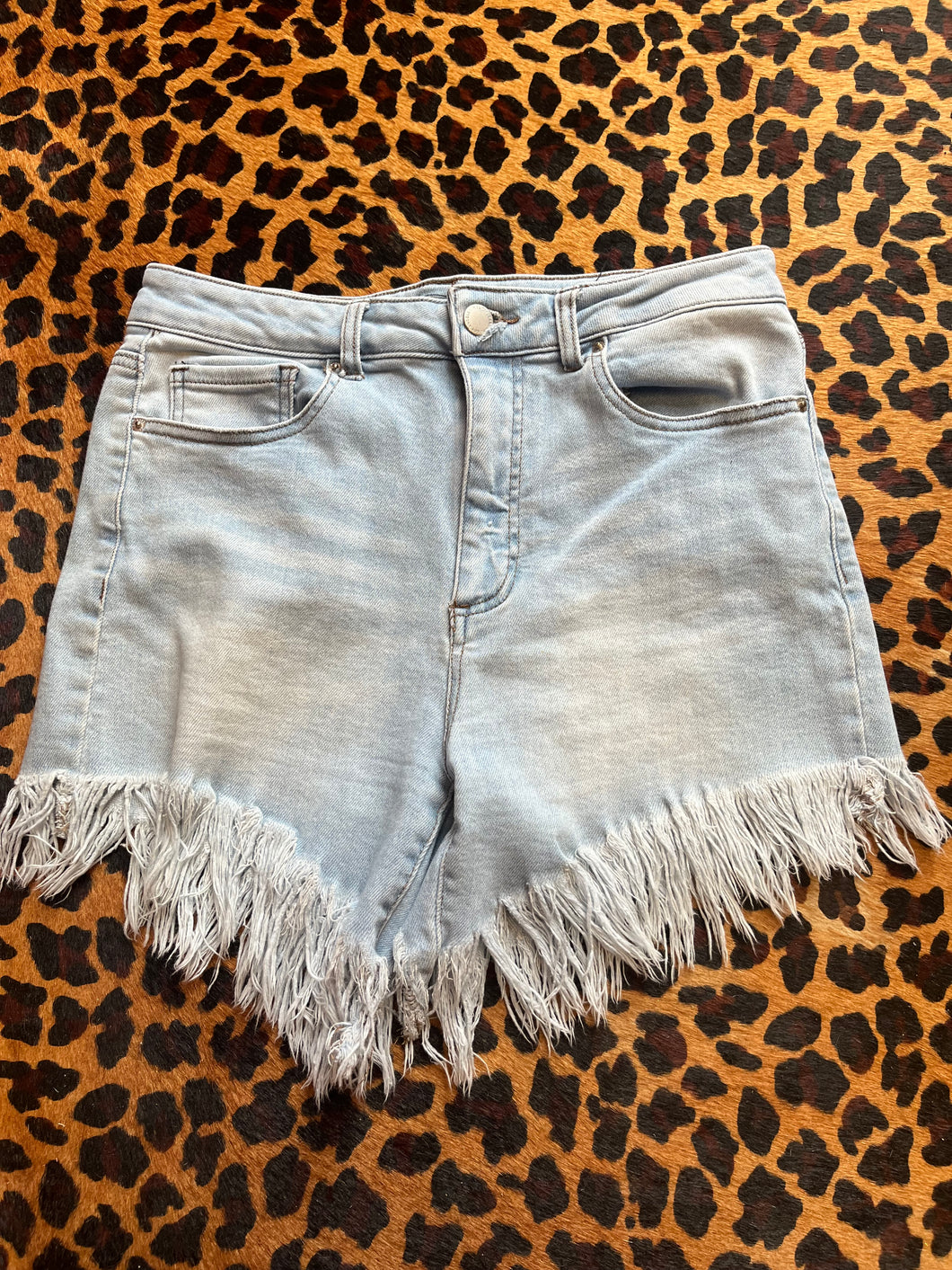 Denim Risen Shorts, Large