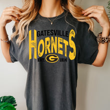 Load image into Gallery viewer, Gatesville Vintage Design
