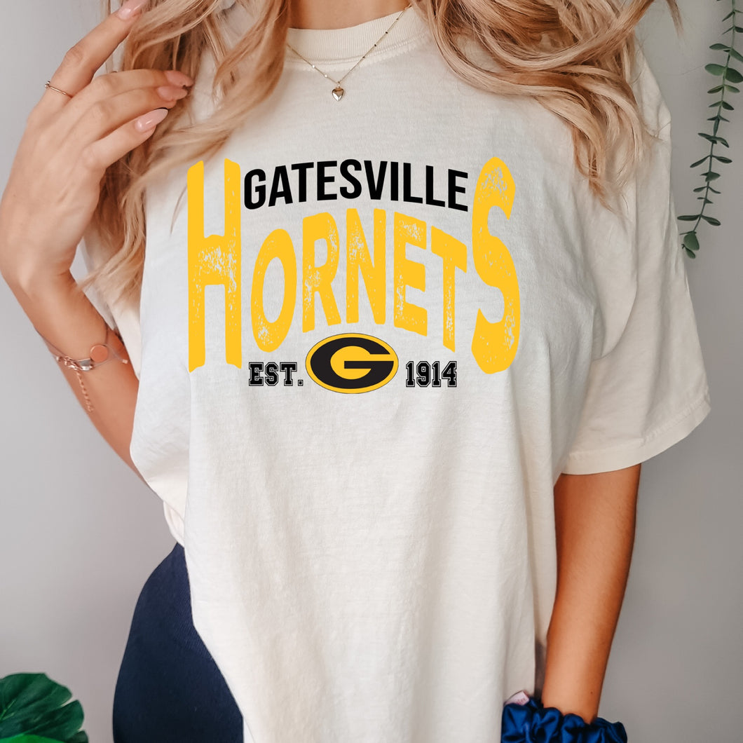 Gatesville Vintage Design