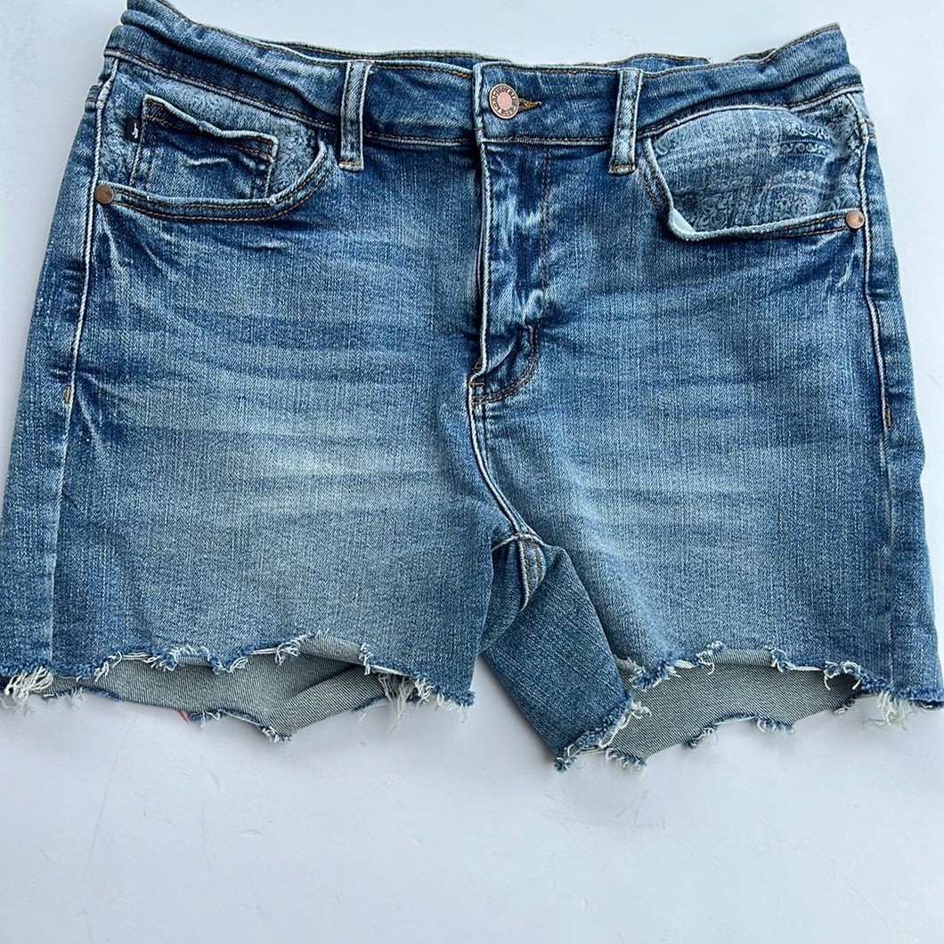 Denim Judy Blue Shorts, Large