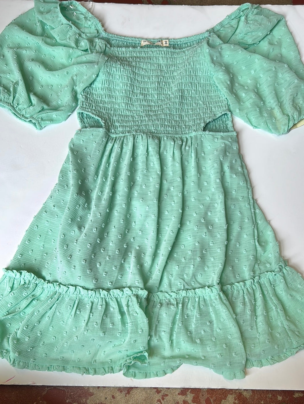 Mint Live to be Spoiled Womens Dress, Medium