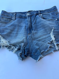 Denim Kendal and Kylie Shorts, 13