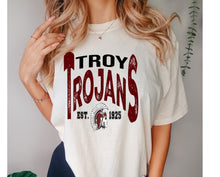 Load image into Gallery viewer, Troy Trojans Vintage Design
