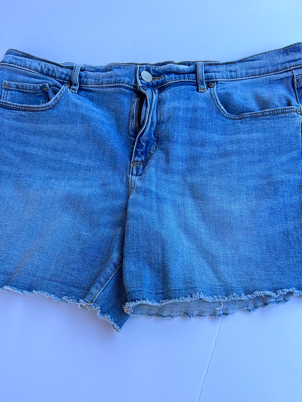 lightwash denim loft Shorts, 31