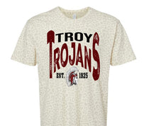 Load image into Gallery viewer, Troy Trojans Vintage Design
