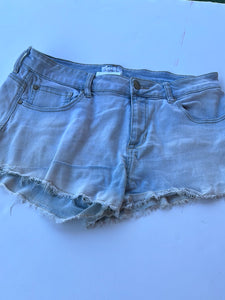 Denim Celebrity Pink Shorts, 11