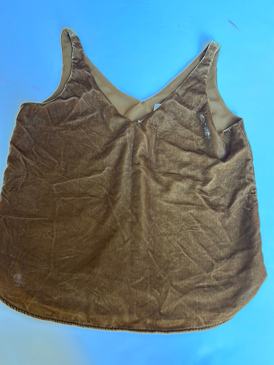 Velvet mustard Loft Womens Top, Small