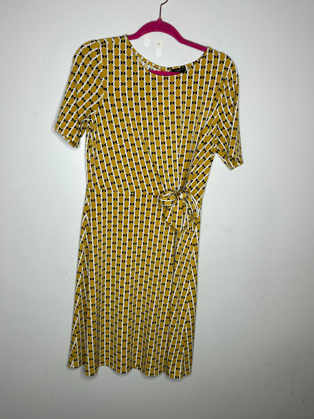Mustard Ann Taylor Womens Dress, Small