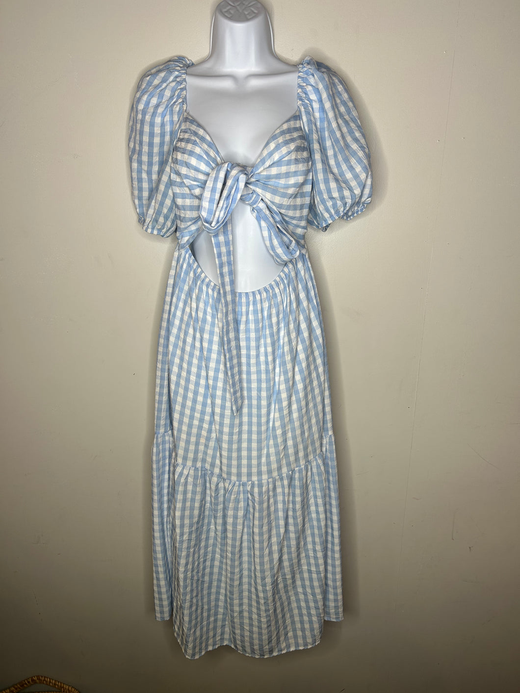 blue Checkered Cherry Cloth Womens Dress, Medium