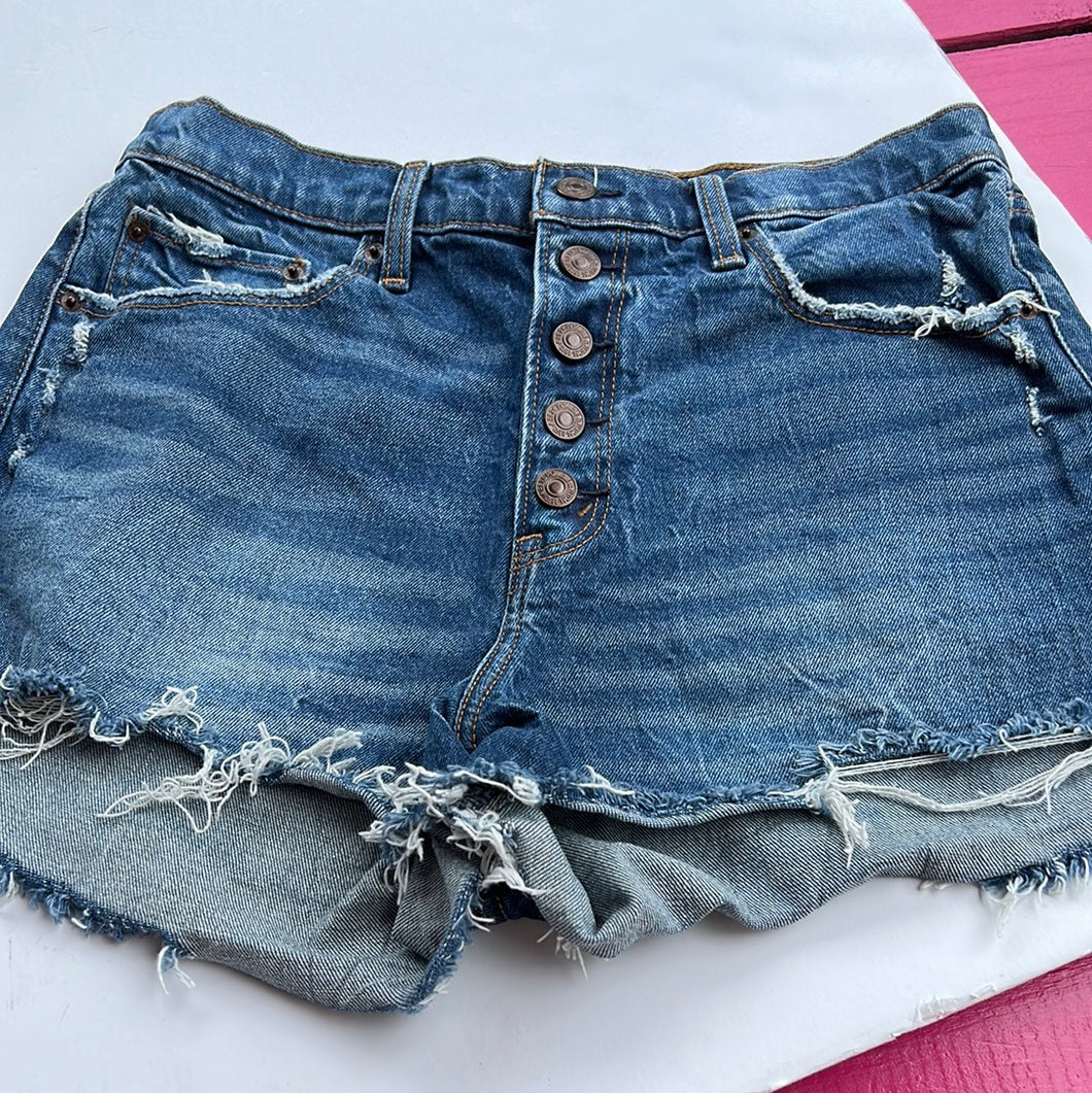 Denim Abercrombie & Fitch Shorts, 29
