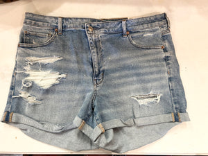 Denim American Eagle Shorts, 16