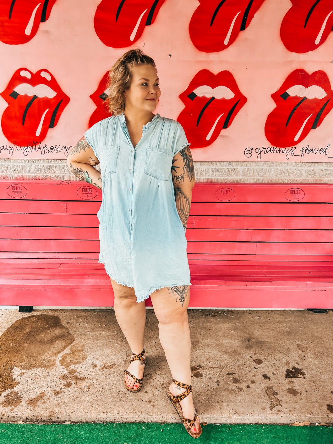 Denim Dani & Davi Womens Dress, 1X